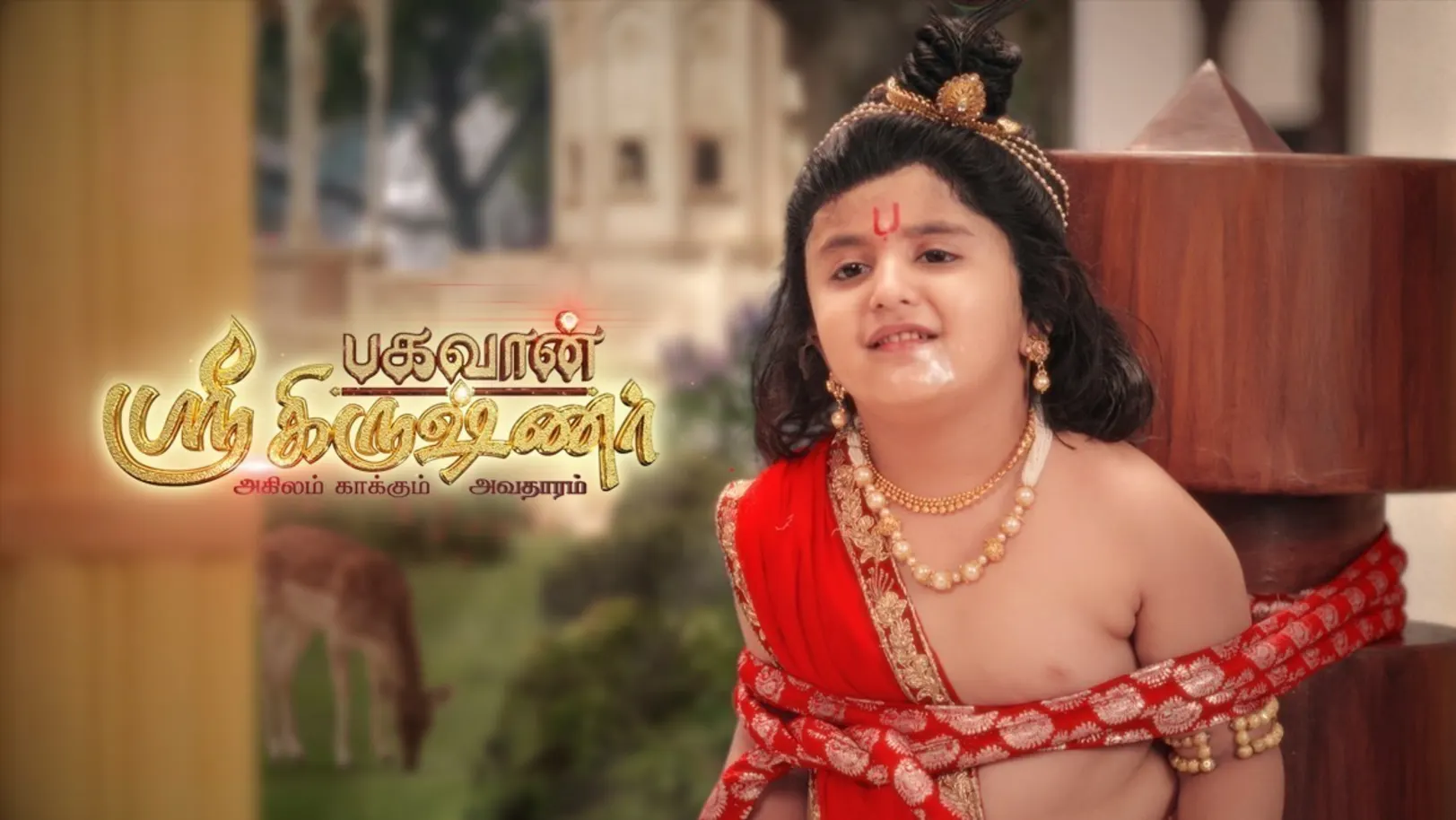 Bhagavan Sree Krishnar TV Show