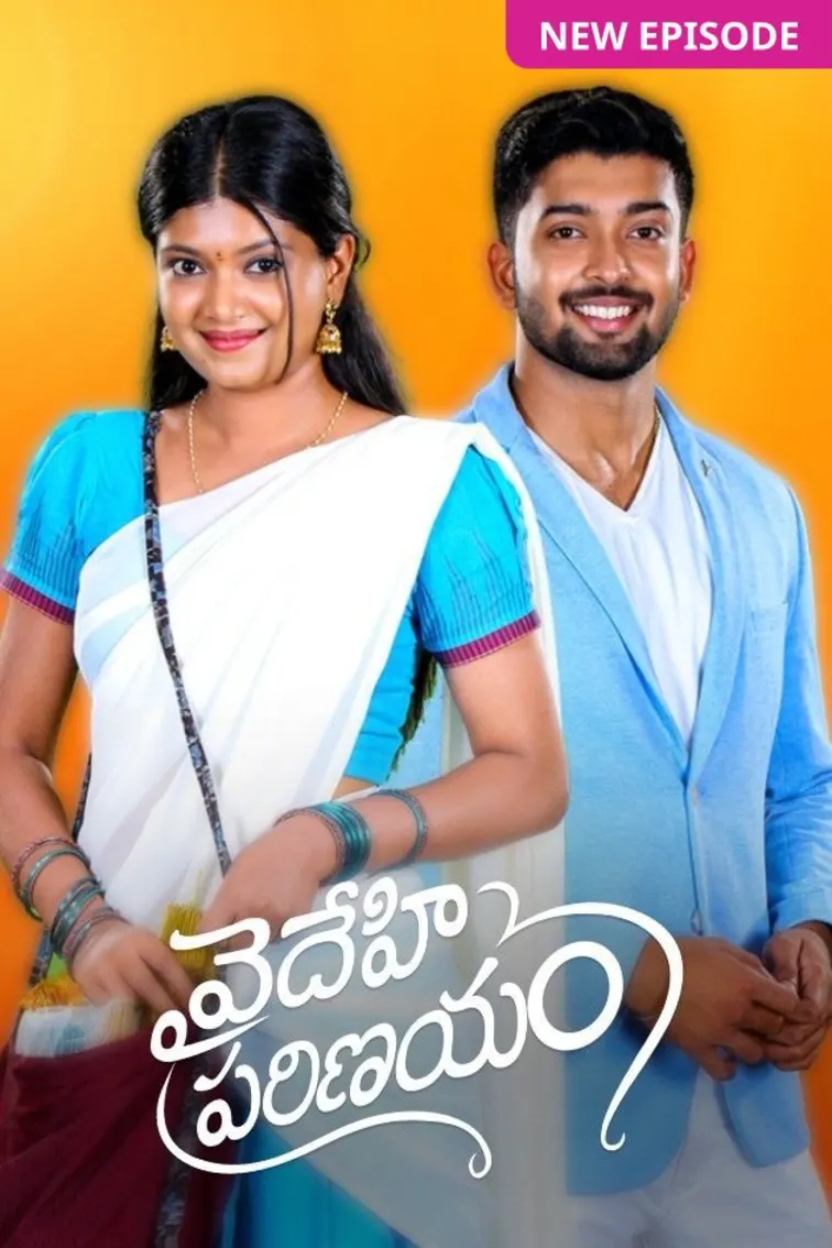 Vaidehi Parinayam TV Show
